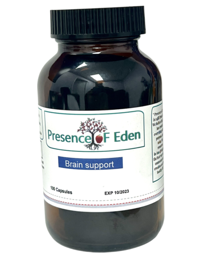 Brain Support