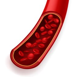 blood purifier