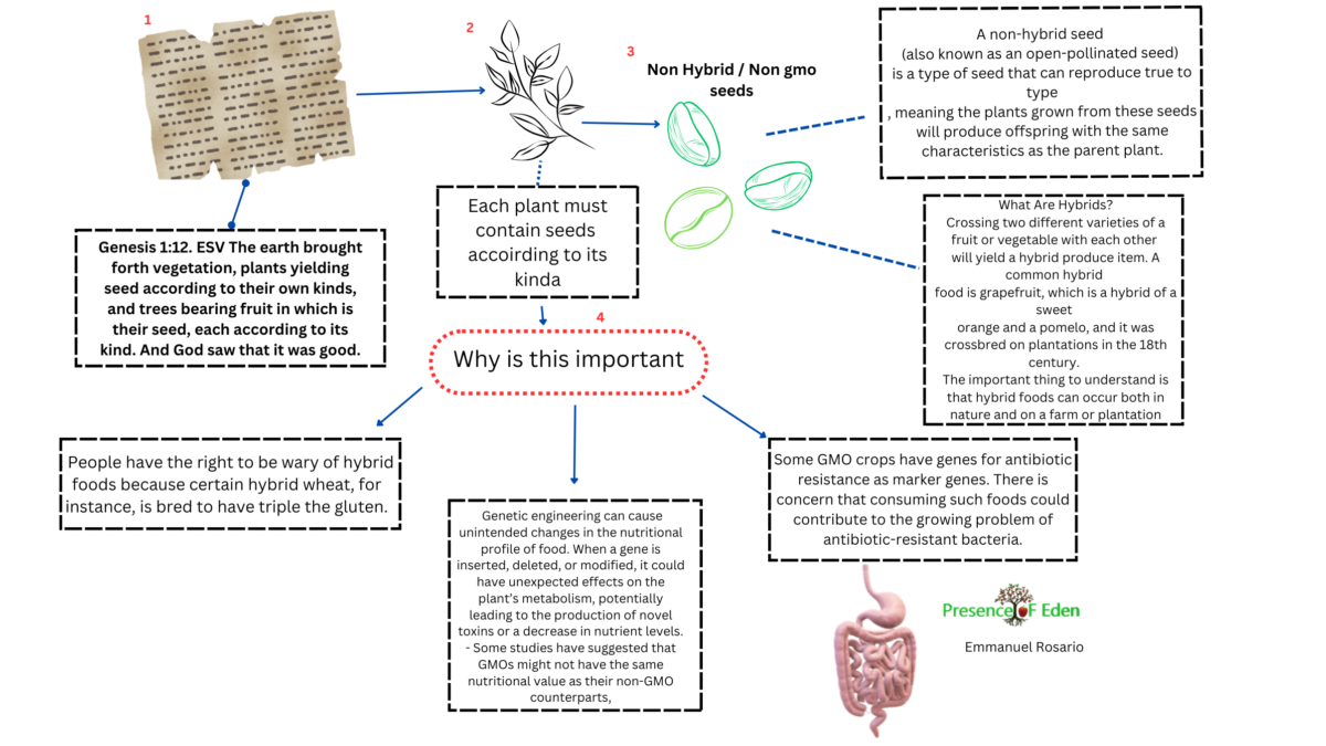 Medicine Graphics InfoMation